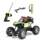 buggy control remoto